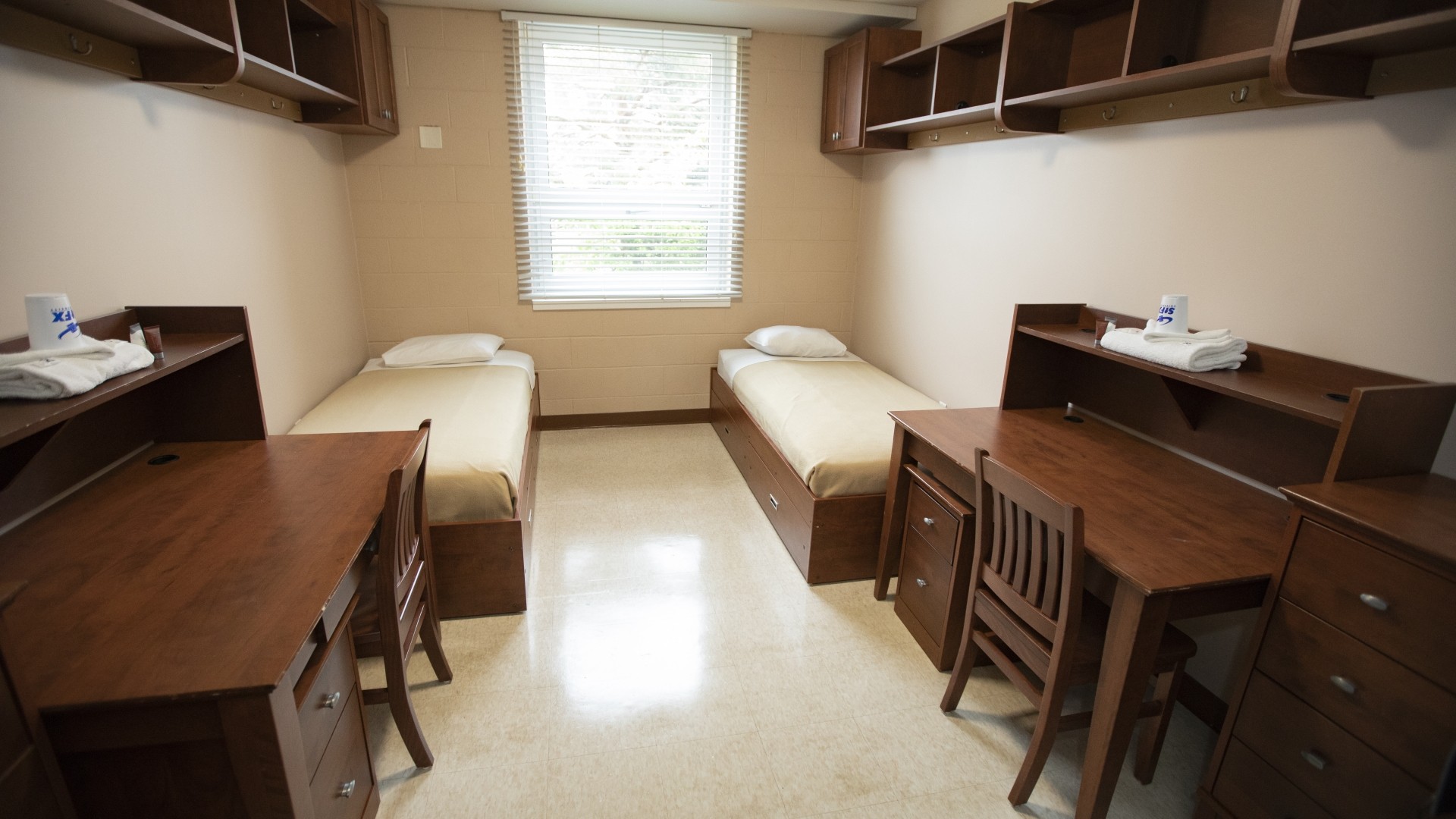 MacIsaac Hall double room with two beds, a window in between and two desks.