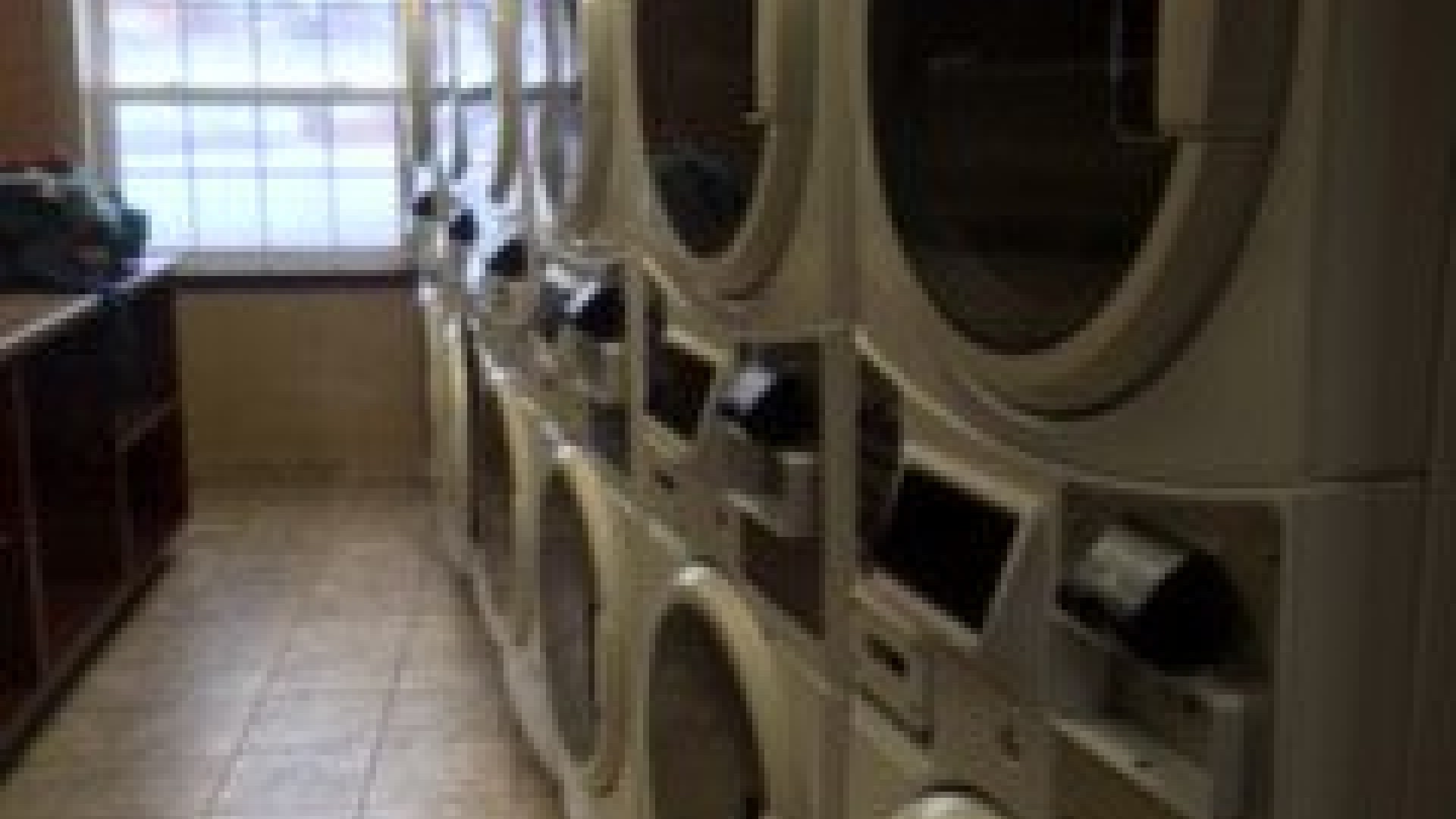 Laundry room with washers and dryers lined up 