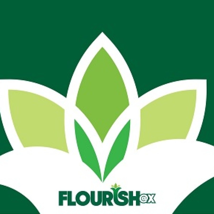 Flourish @X logo image of flower