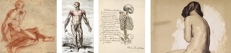 4 paintings of human anatomy