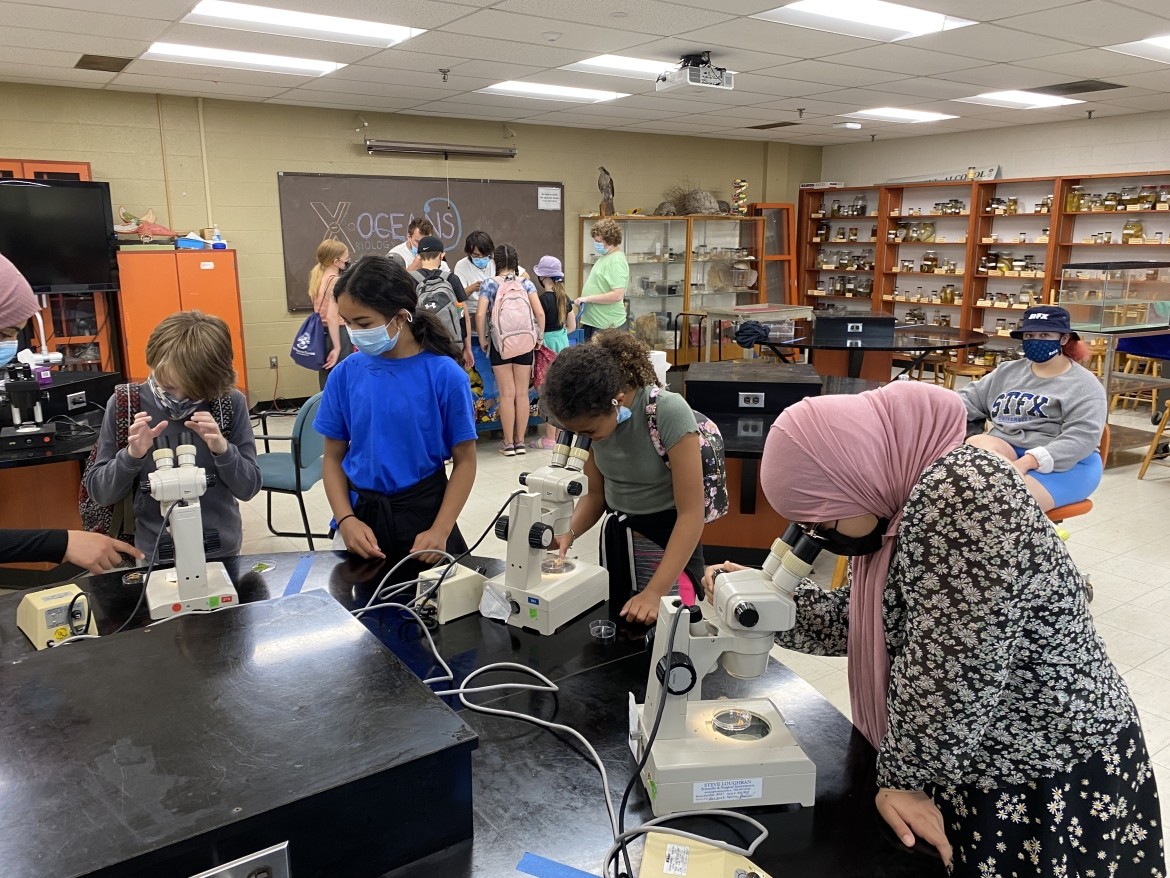 School Students Using a Microscope
