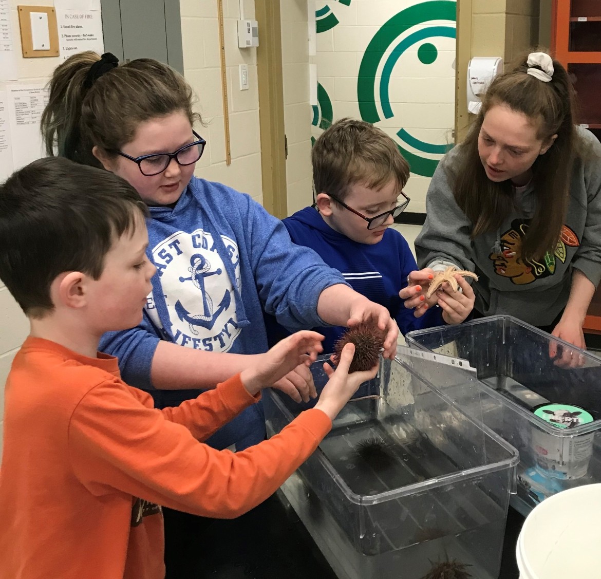 Students Learning With Live Sea Urchins at the Lab