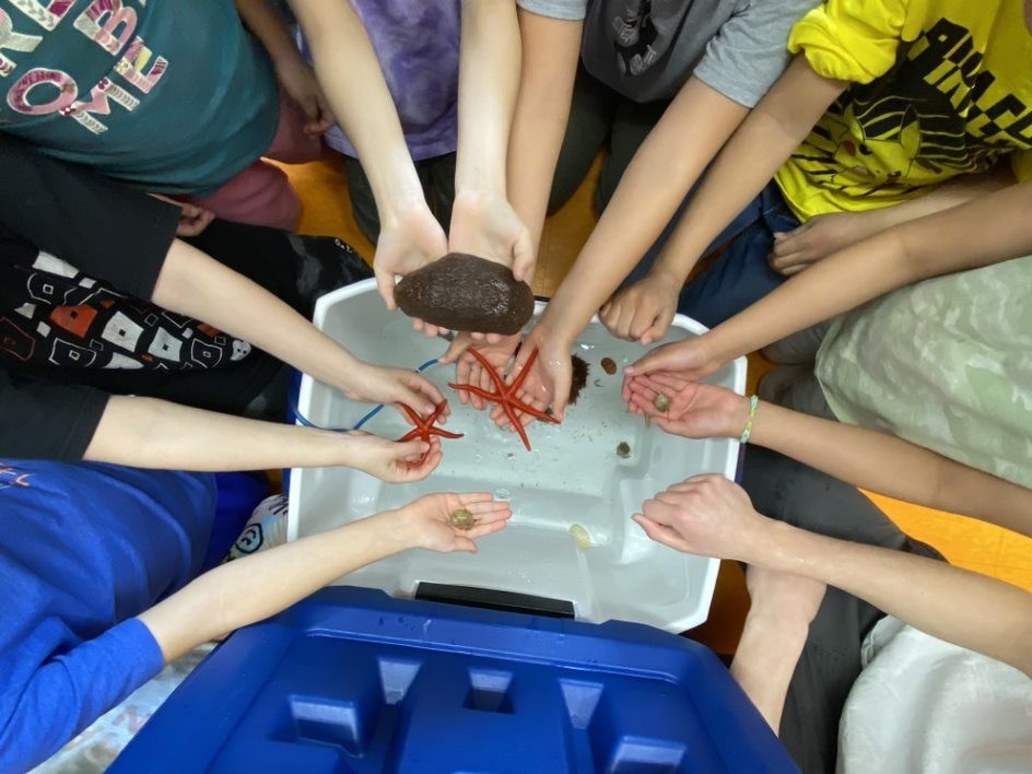 Picture of School Students Holding Marine Animals