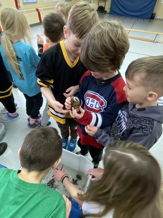 Picture of Kids Holding a Hermit Crab