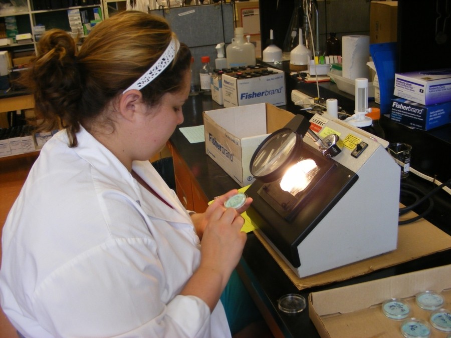 Student Working on a Lab