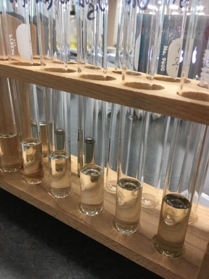 A row of test tubes with chemicals inside