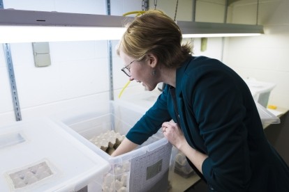 Research X’cellence: Our StFX community leveraging expertise on today’s most pressing challenges. At StFX, innovative research and creative activity are benefiting our communities, addressing some of today’s most pressing challenges. Research X’cellence shines a spotlight on members of our inspiring educational community and the impact they’re making. (To see the full series, please click HERE.)